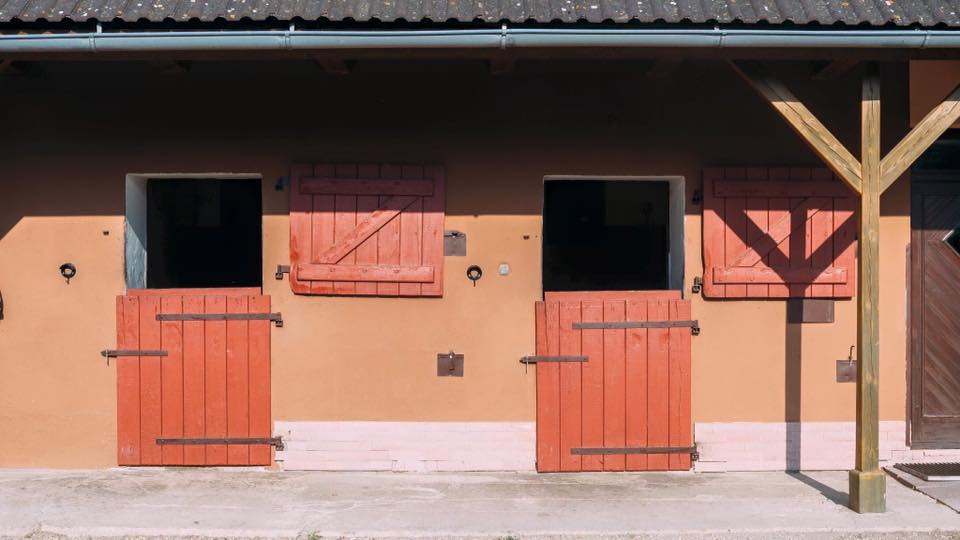 stable and horses